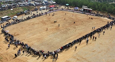KEMALPAŞA’DA BOĞA GÜREŞİ FESTİVALİ