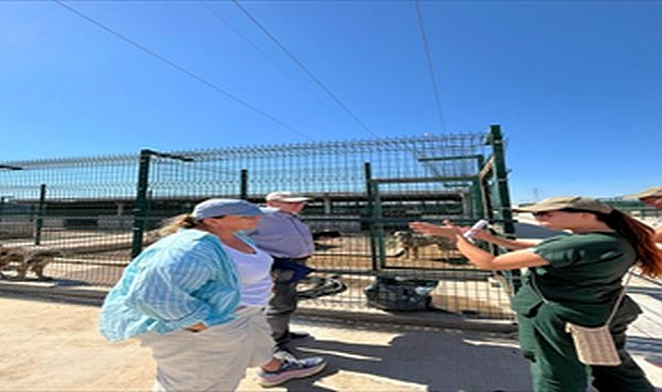 Yangın nedeniyle 335 hayvan koruma altına alındı