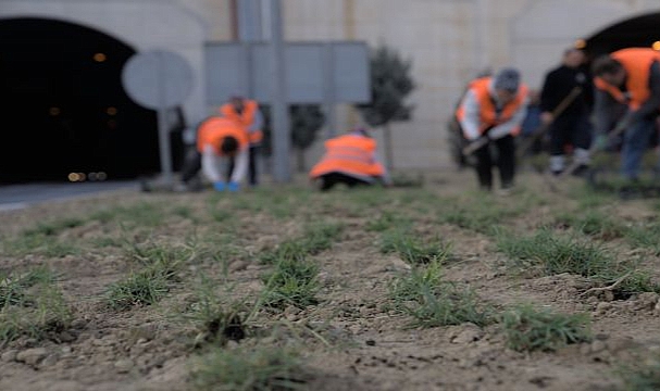 Kuraklığa karşı İzmir’in yeşil örtüsünde dönüşüm