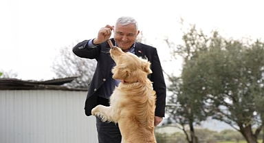 Yeni Yuvaya Sağlıklı Adım