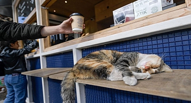 İzmirli Kahve’den bir milyon bardaklık rekor